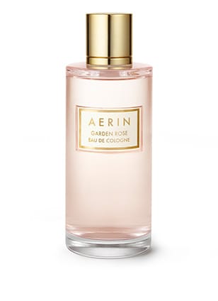 AERIN Garden Rose