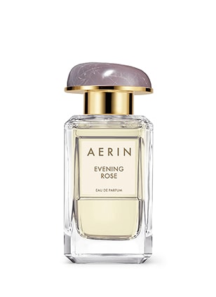 AERIN Evening Rose