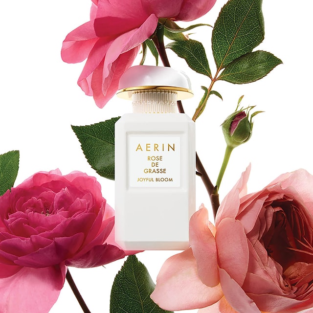 AERIN Rose de Grasse Joyful Bloom