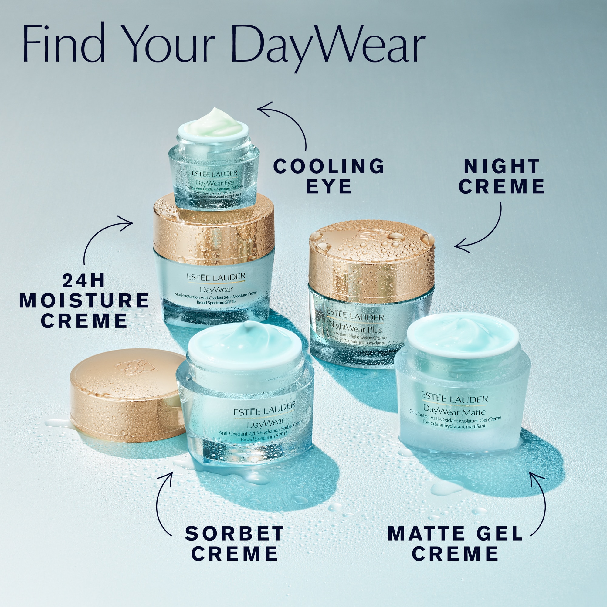 DayWear & NightWear: Antioxidants for Skin | Estée Lauder