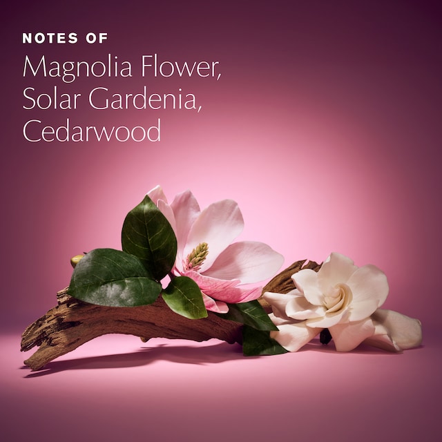 Beautiful Magnolia Fleur