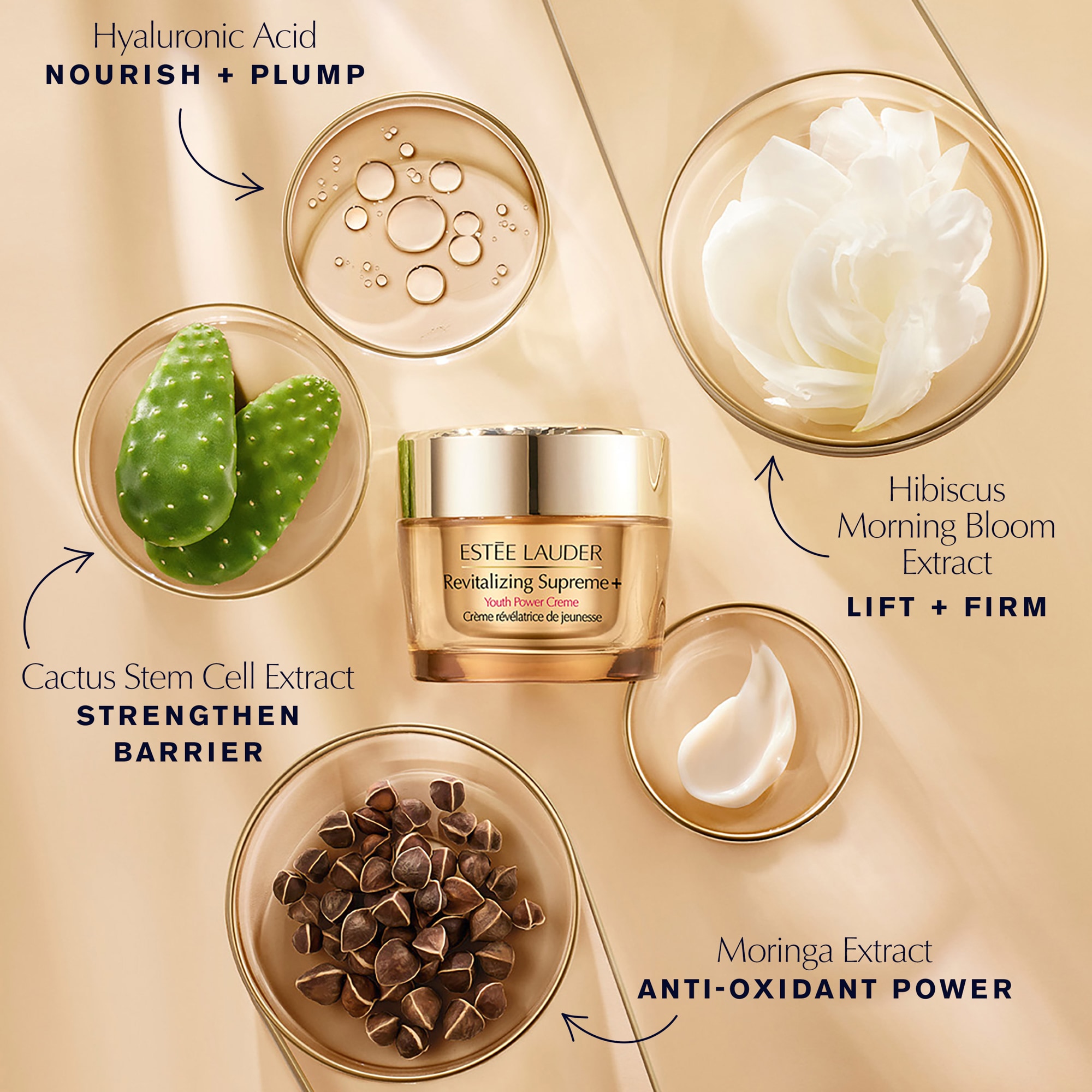 Revitalizing Supreme+ Moisturizer