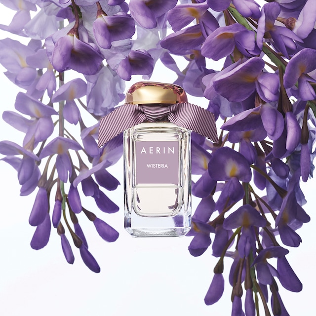 AERIN Wisteria