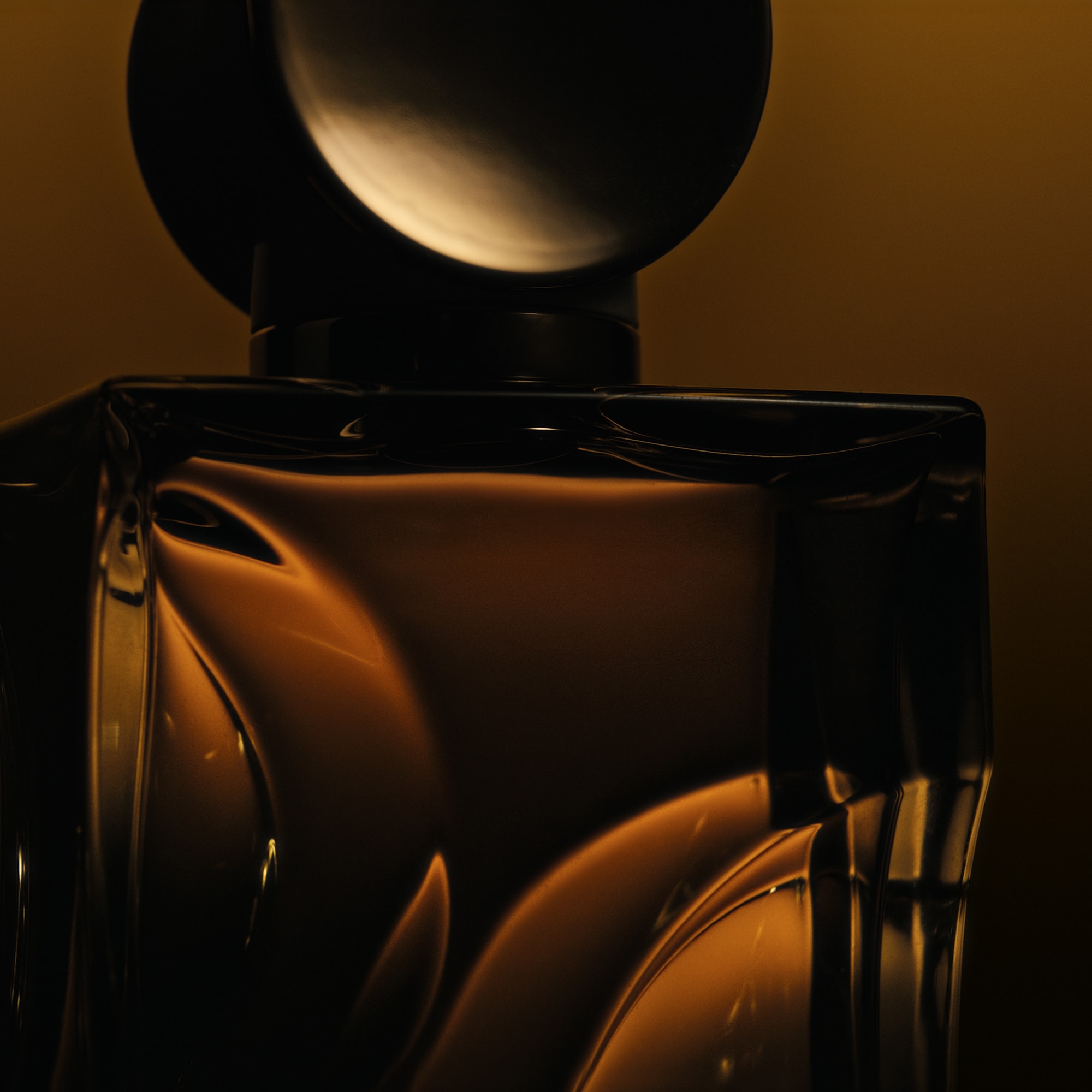 コフレドール Dior MARY QUANT ESTEELAUDER KATE Women's Fragrance, Perfume, Body Lotion & More | Estée Lauder