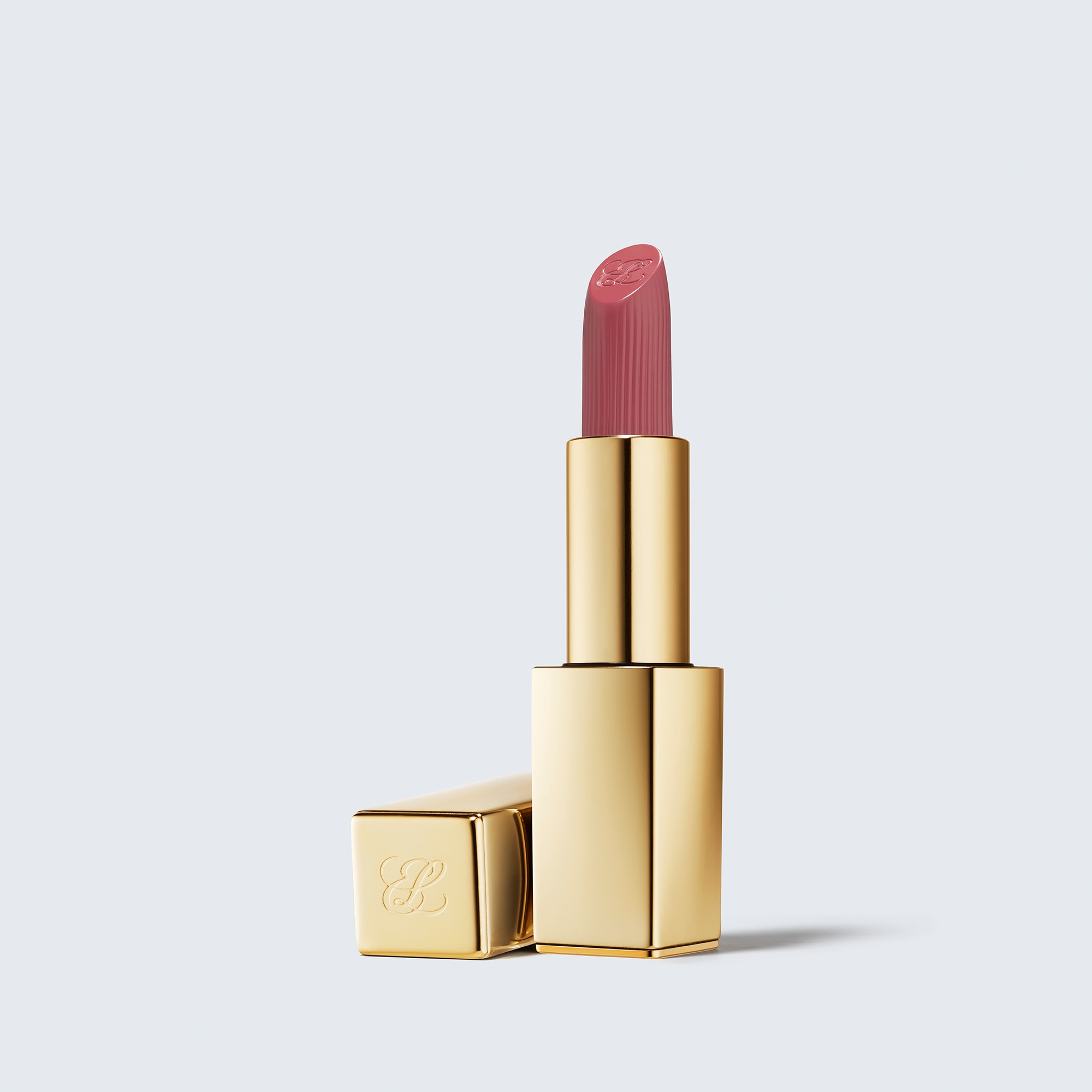 ESTEE LAUDER リップ&マスカラ Pure Color Matte Lipstick | Estée Lauder