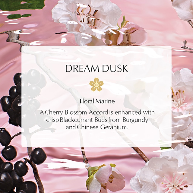 Dream Dusk Travel Size