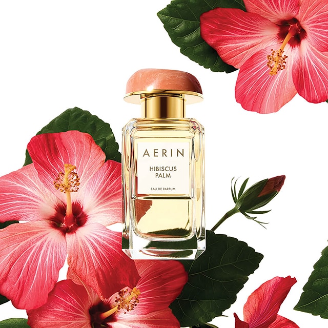 AERIN Hibiscus Palm