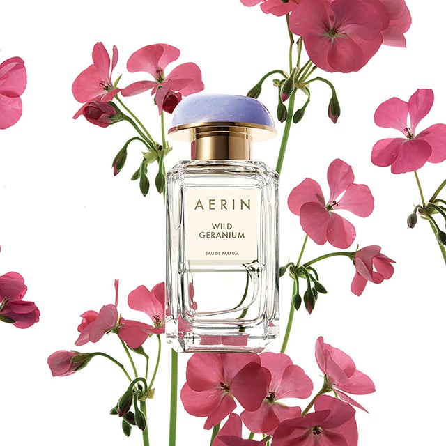 AERIN Wild Geranium