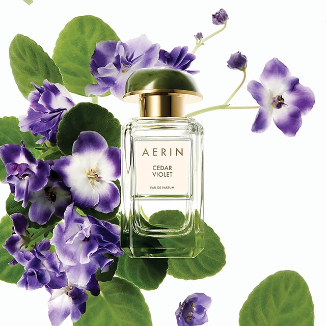 AERIN Cedar Violet