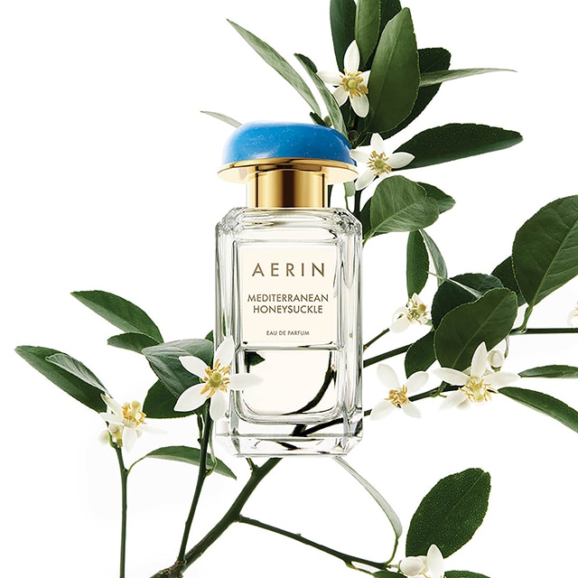 AERIN Mediterranean Honeysuckle