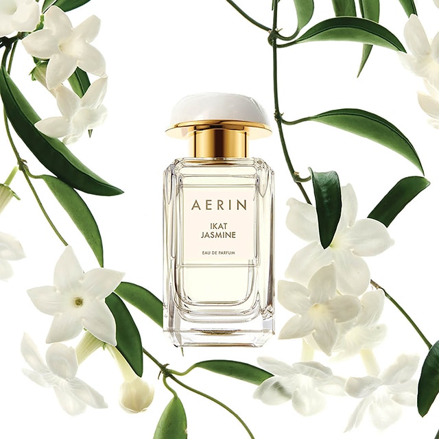 AERIN Ikat Jasmine