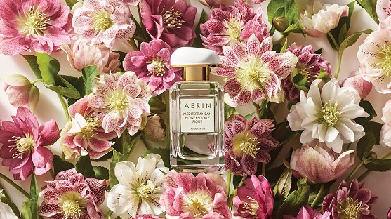 photo of aerin med honey figue