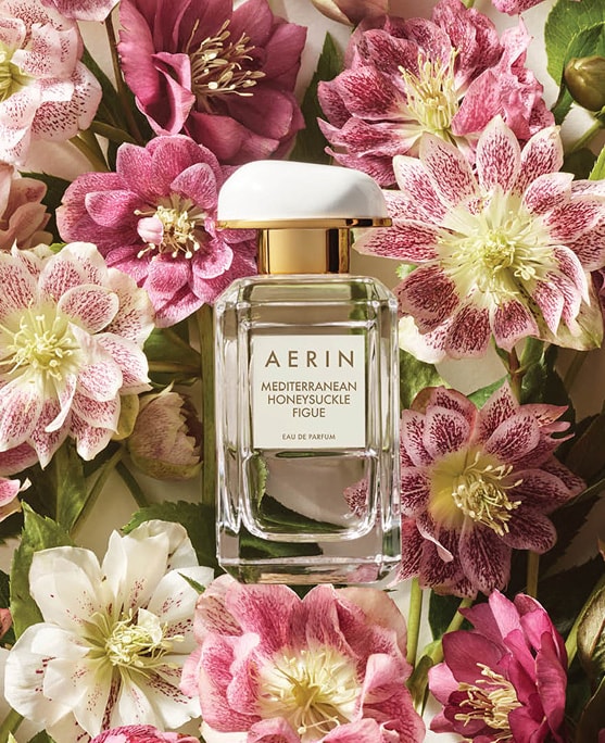 photo of aerin med honey figue