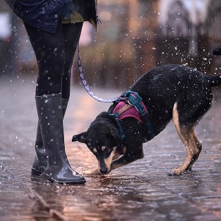 photo of women acts of kindness