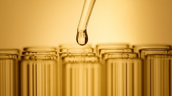 photo of longevity science