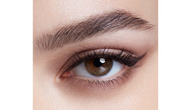 brow now stay in